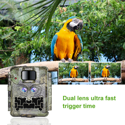 DC12V dubbele de Sleepcamera 13MP CMOS van het Lens1080p Wild Geen Gloednok