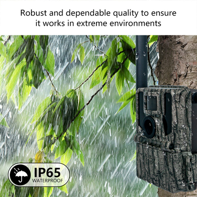 Keepguard 4G Cellular Wildlife Forest Trail Camera's met APP afstandsbediening 36MP 2K/30fps Wild Game
