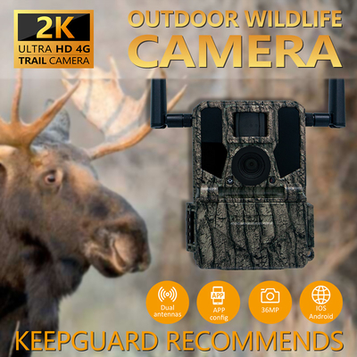 4G Cellulaire Wildlife Forest Trail Camera's met APP afstandsbediening 0.25s Triggering Speed Wild Game Camera's