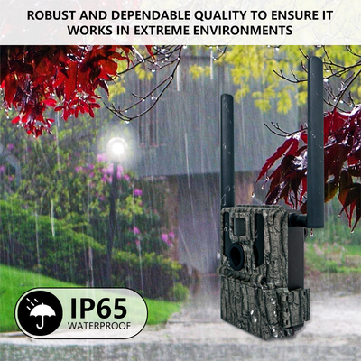 4G Cellulaire Wildlife Forest Trail Camera's met APP afstandsbediening 0.25s Triggering Speed Wild Game Camera's
