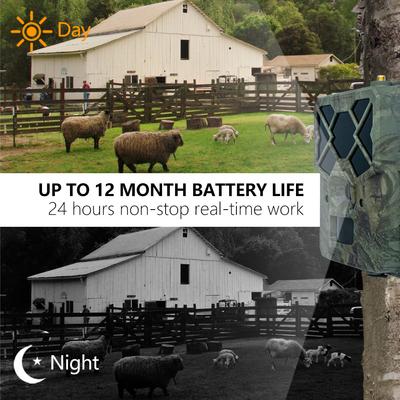 Kosteneffectieve KW886 wildlife camera met APP-besturing 4G simkaart 24MP 1080P bij 30 fps waterdicht IP67 nachtvisie game camera