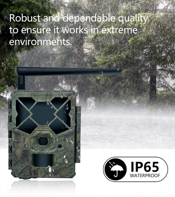 Kosteneffectieve KW886 wildlife camera met APP-besturing 4G simkaart 24MP 1080P bij 30 fps waterdicht IP67 nachtvisie game camera
