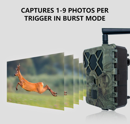 Kosteneffectieve KW886 wildlife camera met APP-besturing 4G simkaart 24MP 1080P bij 30 fps waterdicht IP67 nachtvisie game camera