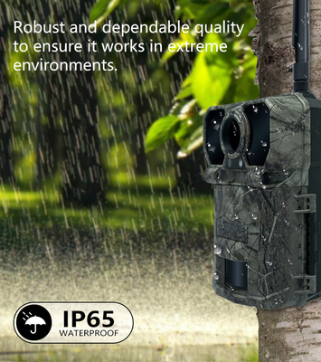 KW896 jacht wildlife trail camera 4G mobiele trail camera fabriek-verkoop OEM ODM wildlife monitoring camera