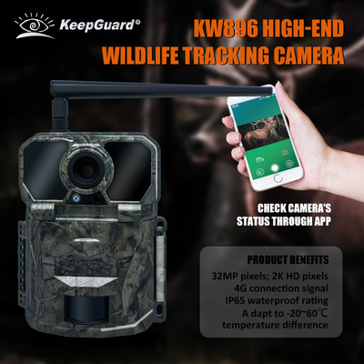 KW896 jacht wildlife trail camera 4G mobiele trail camera fabriek-verkoop OEM ODM wildlife monitoring camera