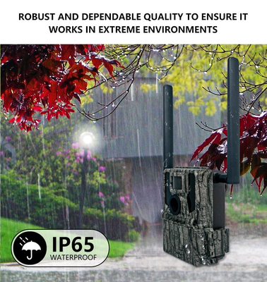 4G draadloze trailcamera verborgen camouflage KW897 met dubbele antennes nachtzicht 36MP 2K video voor hertenjacht