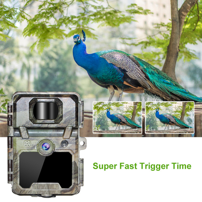 KW571 Fabriek OEM ODM Mini Wildlife Scouting Timelapse Trail Camera IP67 No-Glow CMOS Sensor en SD Memory Nachtzicht