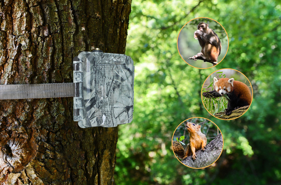 KG45 TRAMP ALARM TRAIL CAMERA voor Jagen liefhebbers Roep om SMS te verzenden bij alarm snelle reactie