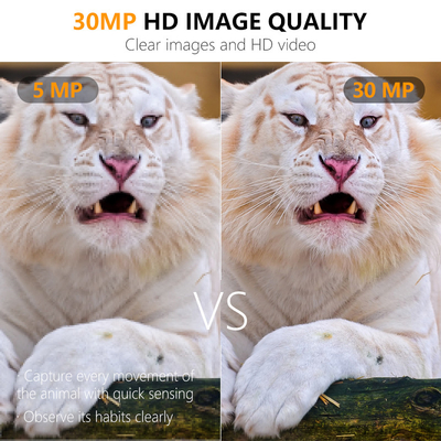 Wildlife Trail Camera Geen gloed 30MP beeld 1080P video waterdicht IP67 tot 512GB opslag Prijs concurrerend jachtcamera
