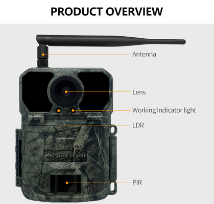 4G OEM/ODM draadloze proefcamera KW895 30MP 0,25s trigger snelheid ingebouwd in SIM-kaart IP67