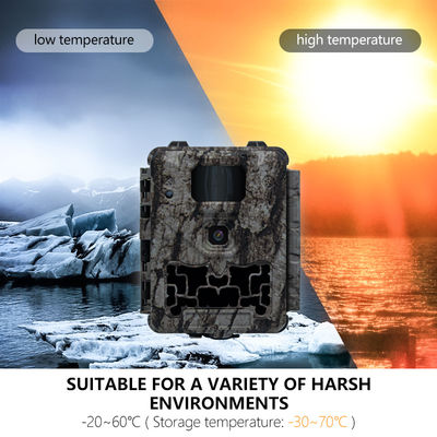 Professionele jachtcamera met automatische IR-cut-verwijdering en 450 mm micro-lensondersteuning voor heldere en gedetailleerde beelden van wilde dieren