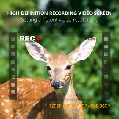 KW865 WIFI verborgen camera waterdicht IP67 20MP 0.6s trigger snelheid tot 512GB opslag nachtzicht trail Camera