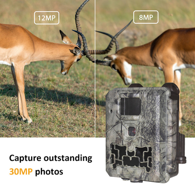 Trail Camera KW561 30MP 0.25s trigger Speed 4K Video Resolution Waterdicht IP67 tot 512GB opslag
