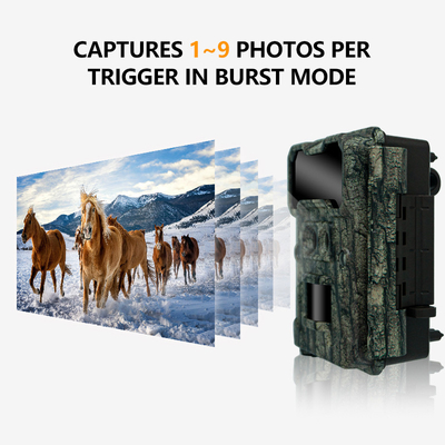 Outdoor jachtcamera KW696 dubbellens 30MP waterdicht IP67 1080p nachtzicht tot 512GB opslag