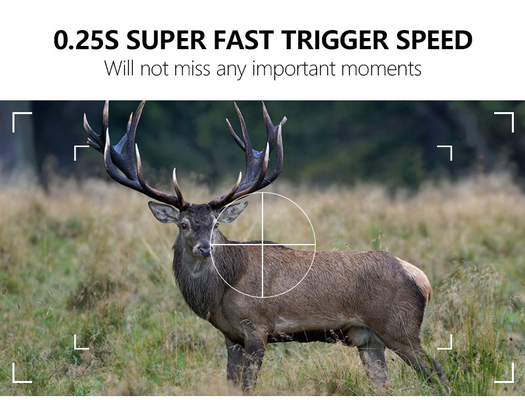WIFI jachtcamera KW866 waterdicht IP67 OEM/ODM tot 512 GB opslag SD geheugenkaart 32MP 4K wildlife camera
