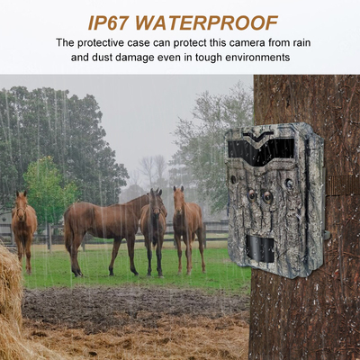 Jachtcamera KW698A dubbele lens 1080P 30MP waterdicht IP67 tot 512GB opslag nachtzicht 0,25s trigger game camera