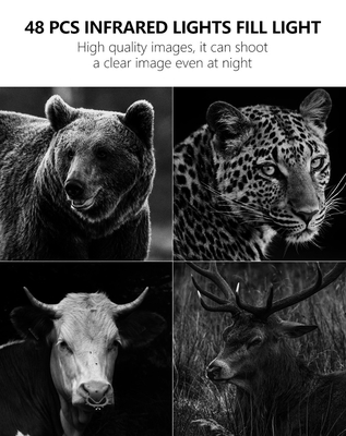 2024 nieuwste 4G draadloze proefcamera OEM/ODM KW886 24MP 0.1s trigger 120ft Night Range ingebouwd in SIM-kaart wildlife camera