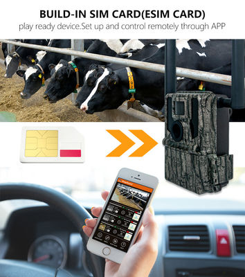 Jacht- en trailcamera's Zonnepaneel 4G Draadloze camera KW897 met dubbele antennes 100ft Nachtbereik 36MP 2K Video bij 30fps