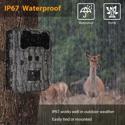 30MP HD jachtcamera's met lichtvrije LED-nachtzicht en PIR-functie voor wildbewaking