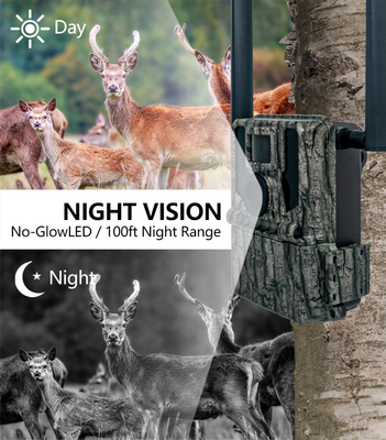 High-end 4g draadloze trail camera 2024 Nieuwste KW897 met dubbele antennes 36MP 2K 0.1s trigger snelheid met nachtzicht voor voor wildlife onderzoek