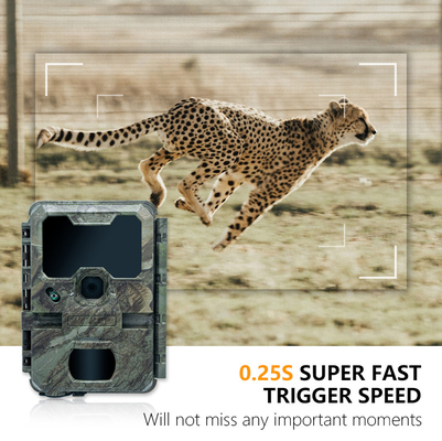 Nachtvisie Jachtcamera met kleine grootte KW788 0.1s trigger 32MP scherp beeld 4K video waterdicht IP67 voor de jacht
