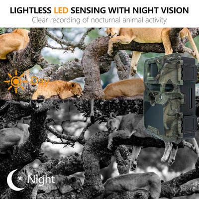 Aanpasbare HD-wildcamera's voor wildobservatie met ondersteuning voor 512GB geheugenkaart