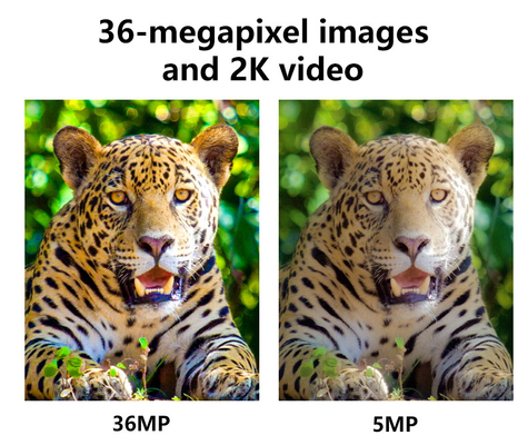 4G mobiele draadloze jachtcamera KW897 ingebouwd in SIM-kaart 36MP-opname 2K video met 30 fps met dubbele antennes voor dieren in het wild