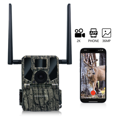 4G mobiele draadloze jachtcamera KW897 ingebouwd in SIM-kaart 36MP-opname 2K video met 30 fps met dubbele antennes voor dieren in het wild