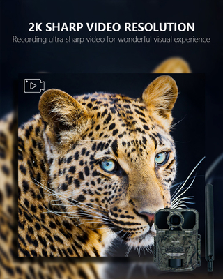 game&trail camera High-end voor 4G jachtcamera KW896 met antenne 100ft Night Range 32MP 2K wildlife camera 4g