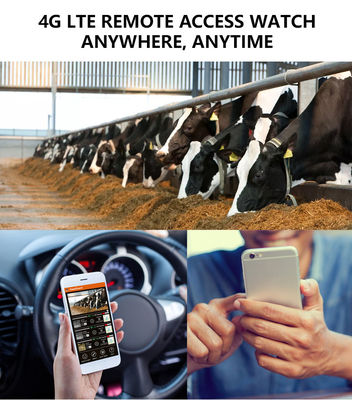 Ervaar Ongeëvenaarde Prestaties met 4G Wildcamera De Perfecte Oplossing voor Wildmonitoring