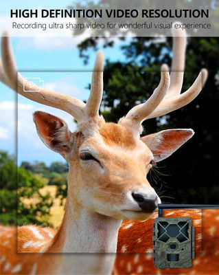 Ervaar Ongeëvenaarde Prestaties met 4G Wildcamera De Perfecte Oplossing voor Wildmonitoring