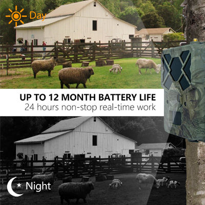 Ervaar Ongeëvenaarde Prestaties met 4G Wildcamera De Perfecte Oplossing voor Wildmonitoring