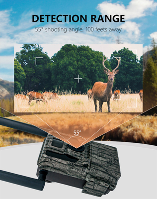 High-Performance 4G Trail Camera 36MP HD Foto's en 2K Video's Dual-Antenna IP66 Waterdichte Jachtcamera met 512 GB opslagcapaciteit