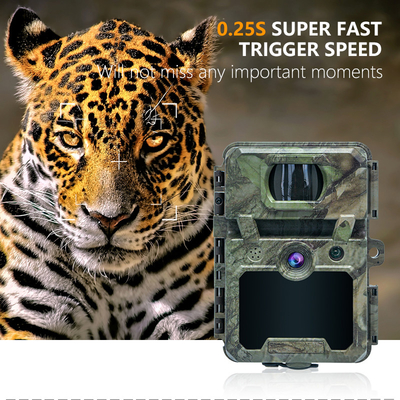 Mini draadloze wildlife scouting camera met 30MP camouflage IP66 waterdicht en PIR functie voor jacht en beveiliging