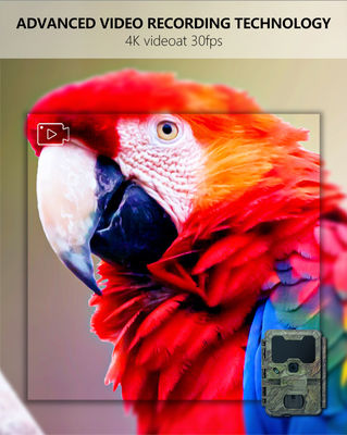 Nieuwste WIFI jachtcamera KW866 met waterdicht IP67 512GB opslag 32MP 4K video 0,25 trigger snelheid voor hertenjacht