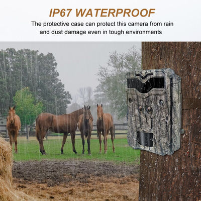 HD jachtcamera's Keepguard Dual-Lens 32MP No-Glow LED Trail Camera 1080P Night Vision Jachtkamera voor wilde dieren