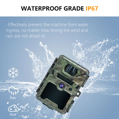 Mini draadloze wildlife scouting camera met 30MP camouflage IP66 waterdicht en PIR functie voor jacht en beveiliging