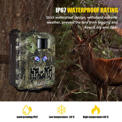Verkoop Promotie 39USD Dual lens/Dual sensor Wildlife Game Camera 30MP 1080P No-Glow 940nm Met dag en nacht sensor