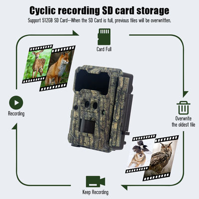 Hoge Sensor Resolutie Wildlife Camera 13MP Cmos Dual Lens Trail Camera