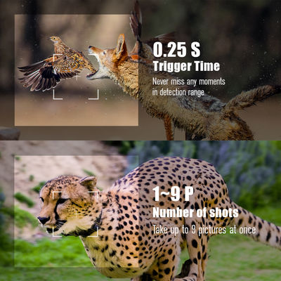 Hoge Sensor Resolutie Wildlife Camera 13MP Cmos Dual Lens Trail Camera