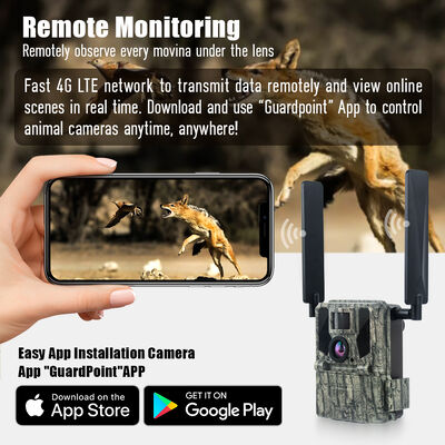 4G Wildcamera met Mogelijkheid tot Beeldweergave op Afstand en Robuuste Behuizing Ontworpen voor het Vastleggen van Gedetailleerde Beelden op Afgelegen Locaties