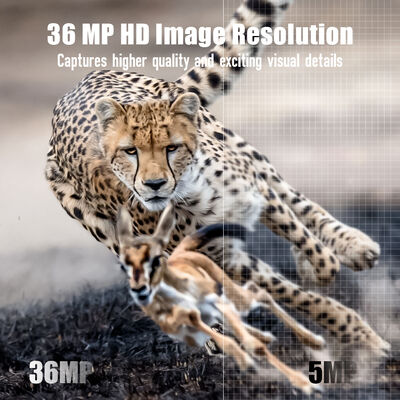 4G Wildcamera met Mogelijkheid tot Beeldweergave op Afstand en Robuuste Behuizing Ontworpen voor het Vastleggen van Gedetailleerde Beelden op Afgelegen Locaties