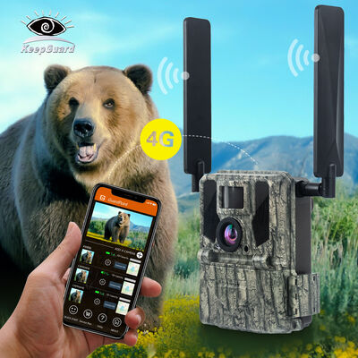 4G Wildcamera met Mogelijkheid tot Beeldweergave op Afstand en Robuuste Behuizing Ontworpen voor het Vastleggen van Gedetailleerde Beelden op Afgelegen Locaties