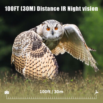 4G Wildcamera met Mogelijkheid tot Beeldweergave op Afstand en Robuuste Behuizing Ontworpen voor het Vastleggen van Gedetailleerde Beelden op Afgelegen Locaties