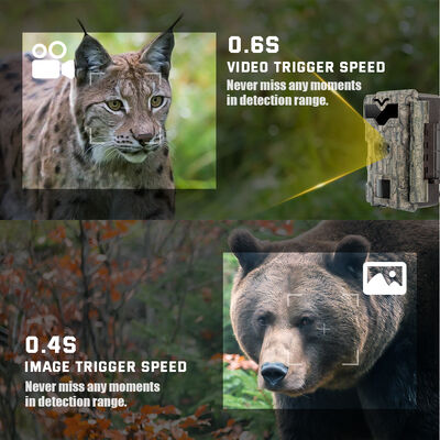 Compacte HD-jachtcamera's met hoge resolutie en bewegingsgeactiveerde opname voor buitenbewaking