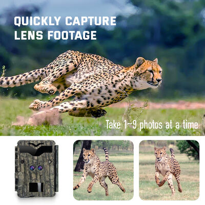 Compacte HD-jachtcamera's met hoge resolutie en bewegingsgeactiveerde opname voor buitenbewaking
