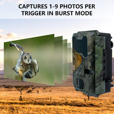 2 inch LCD-jachtcamera met een formaat van 110 x 97 x 66 mm, geschikt voor professionele observatie van dieren buitenshuis