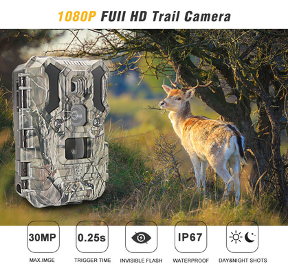 Infrarode LEDs-het Wild de Jachtcamera 30MP 1080P IP66
