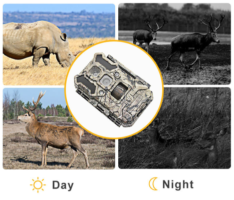 Infrarode LEDs-het Wild de Jachtcamera 30MP 1080P IP66