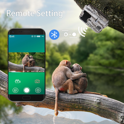 WIFI Outdoor Hunting Trail-camera met weergavescherm Mobiele app
